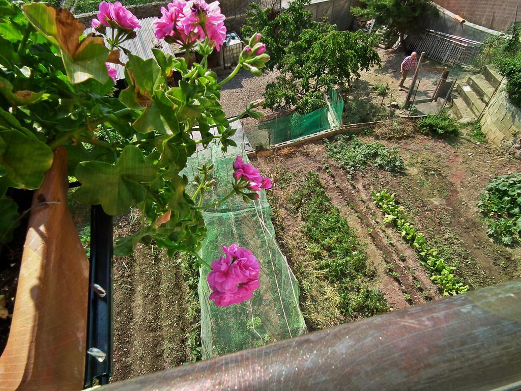 Casa Catharina Bed & Breakfast Ла Сеу д'Ургел Екстериор снимка